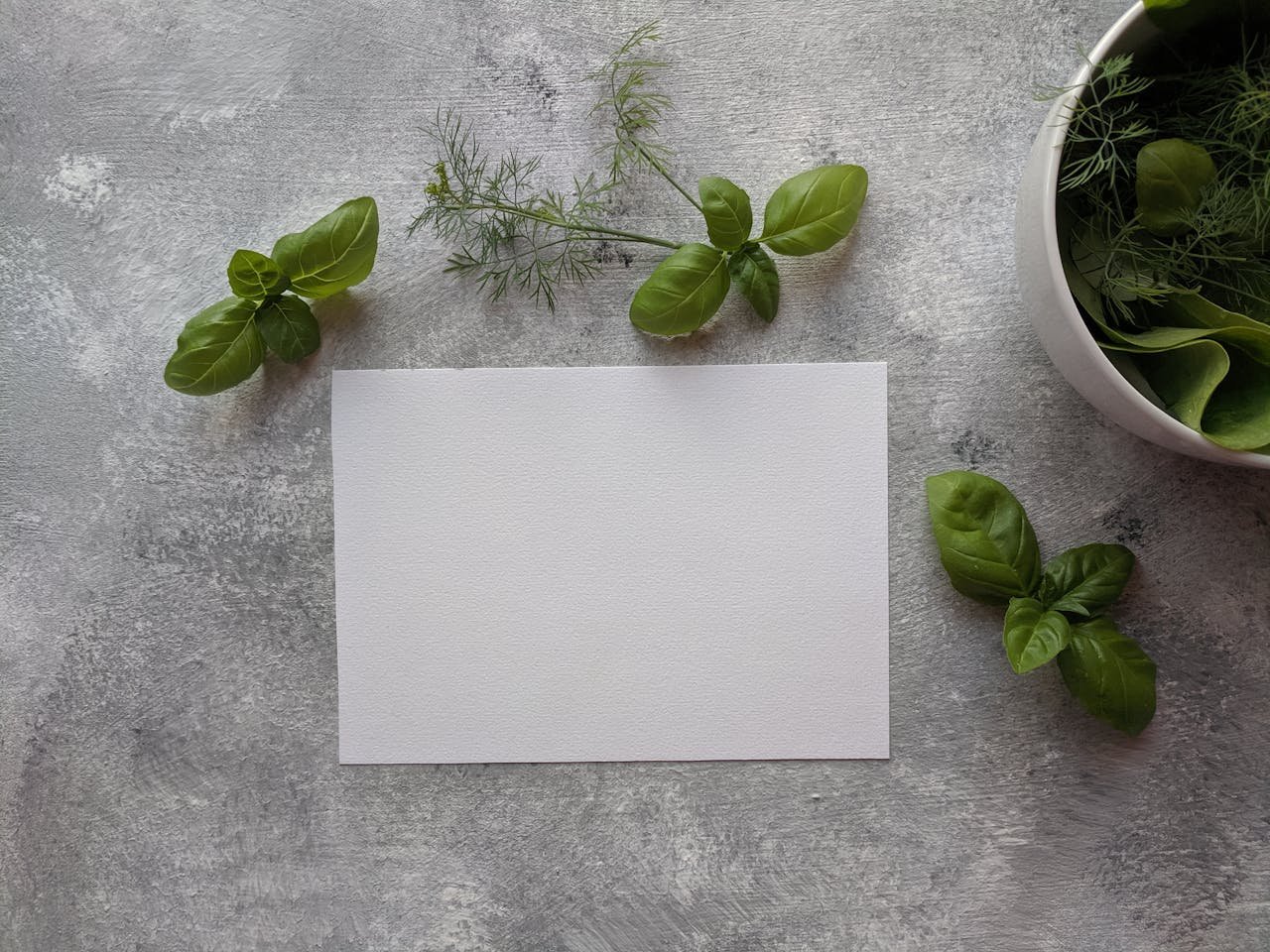Top view of fresh basil and dill herbs with blank paper on rustic surface.